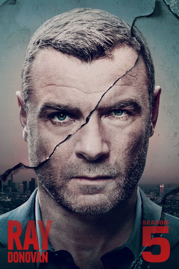 清道夫    第⁨五⁩季
    Ray Donovan (2017)