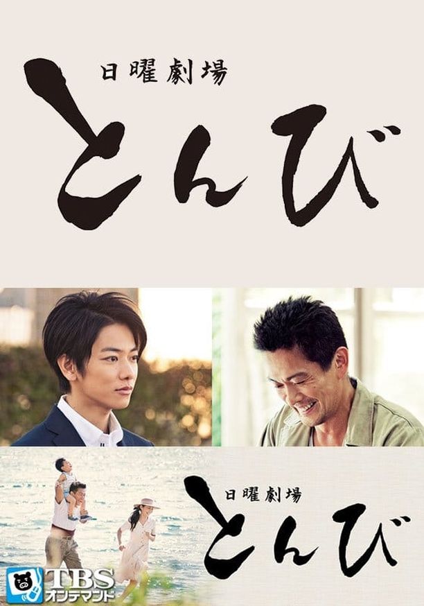 鸢とんび (2013)
