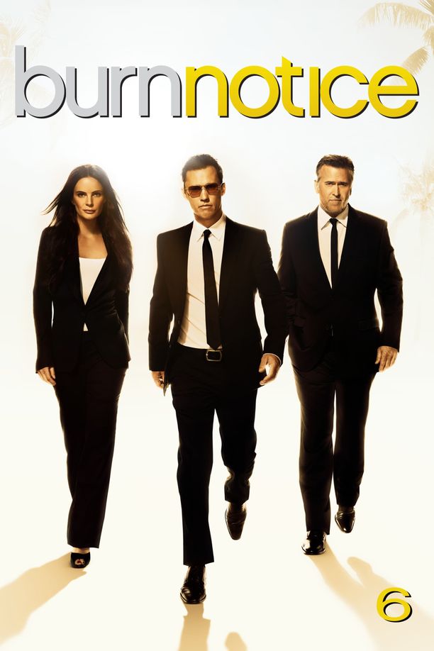 火线警告    第⁨六⁩季
    Burn Notice (2012)