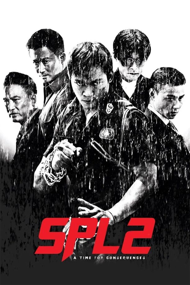杀破狼2殺破狼2 (2015)