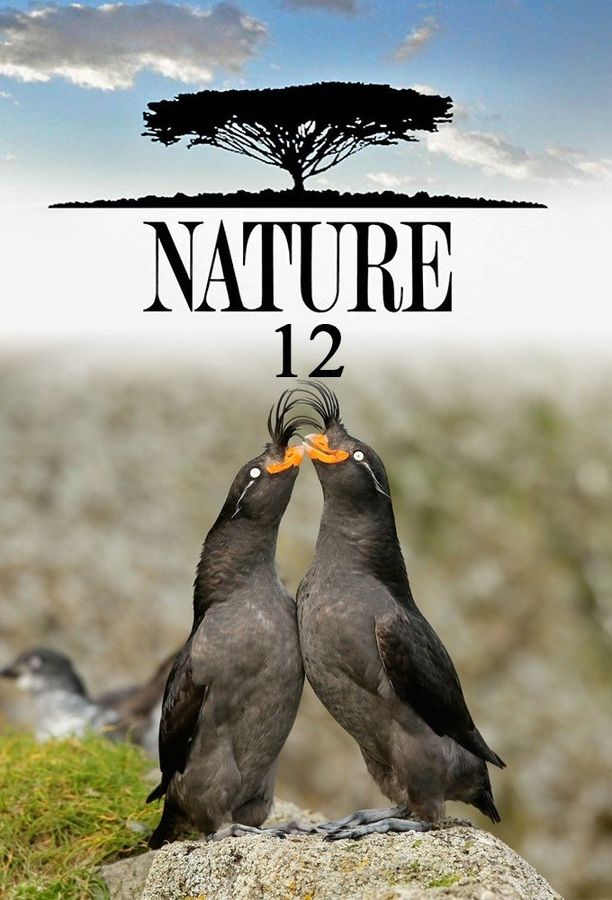自然    第⁨十二⁩季
    Nature (1993)