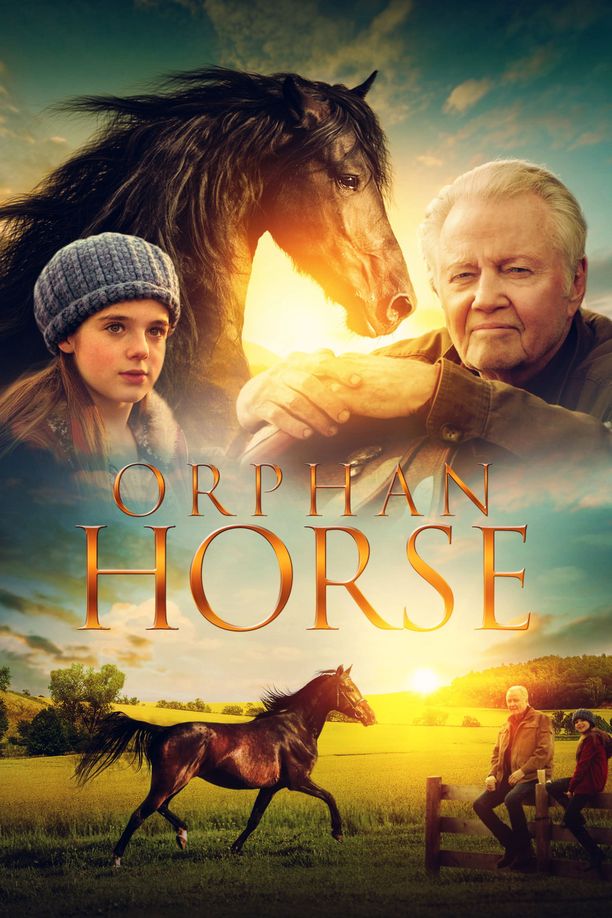 孤马Orphan Horse (2018)