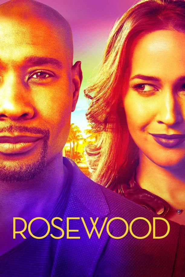 私家法医Rosewood (2015)
