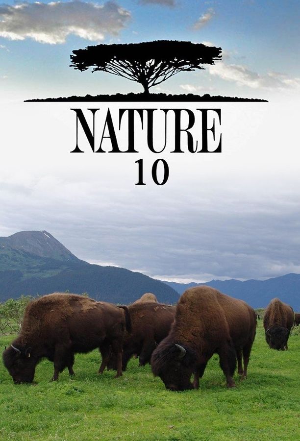 自然    第⁨十⁩季
    Nature (1991)
