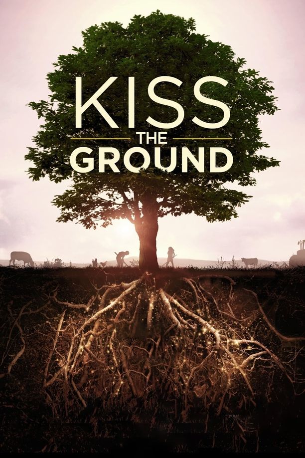 亲吻地面Kiss the Ground (2020)