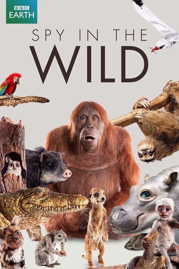 荒野间谍Spy in the Wild (2017)
