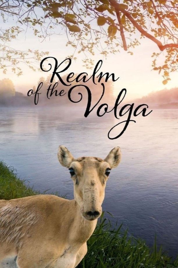 Realm of the VolgaIm Reich der Wolga (2019)