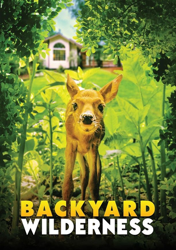 後院風光Backyard Wilderness (2018)
