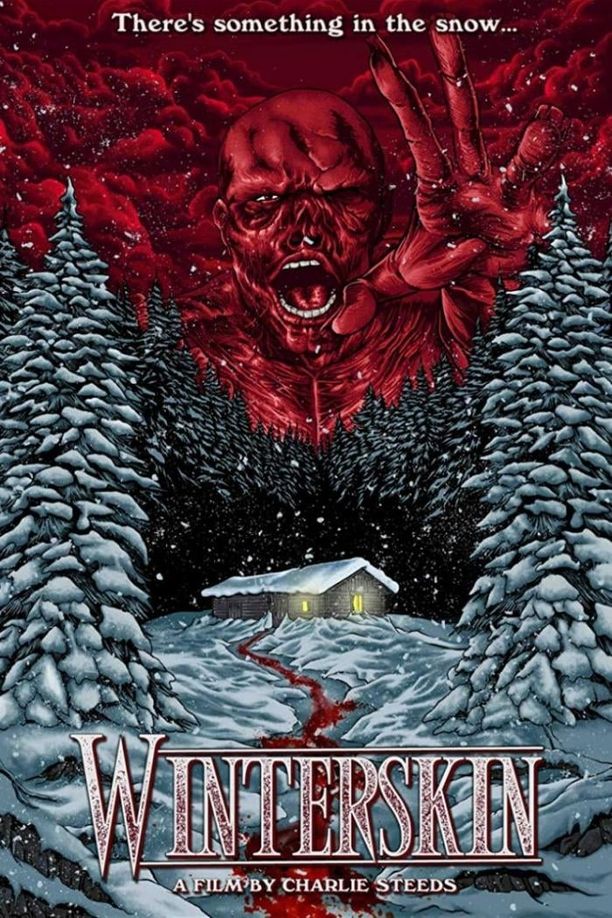冬日肌肤Winterskin (2018)