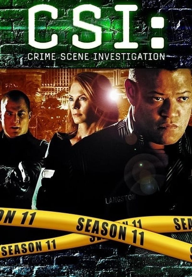 犯罪现场调查    第⁨十一⁩季
    CSI: Crime Scene Investigation (2010)