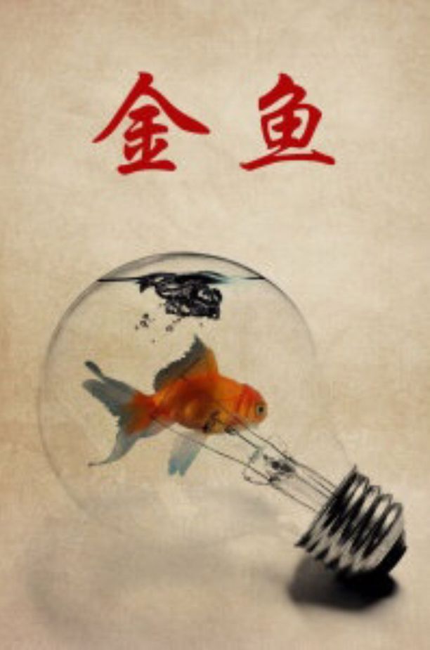 金鱼 (1995)
