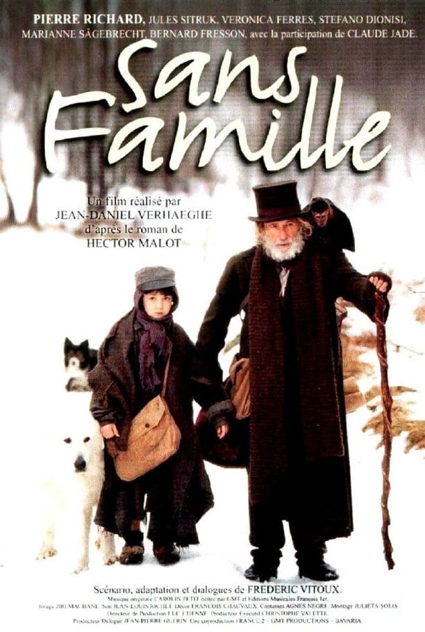 苦儿流浪记Sans famille (2000)