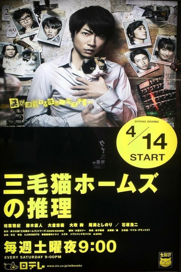 三花猫福尔摩斯的推理三毛猫ホームズの推理 (2012)