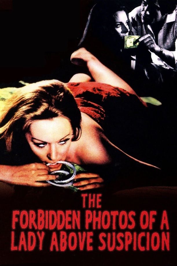 艳照疑云Le foto proibite di una signora per bene (1970)