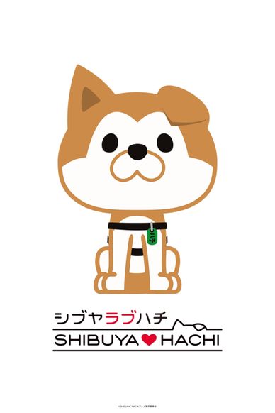 涩谷♥八公