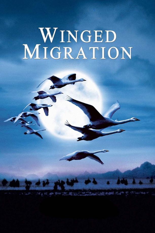 迁徙的鸟Le peuple migrateur (2001)