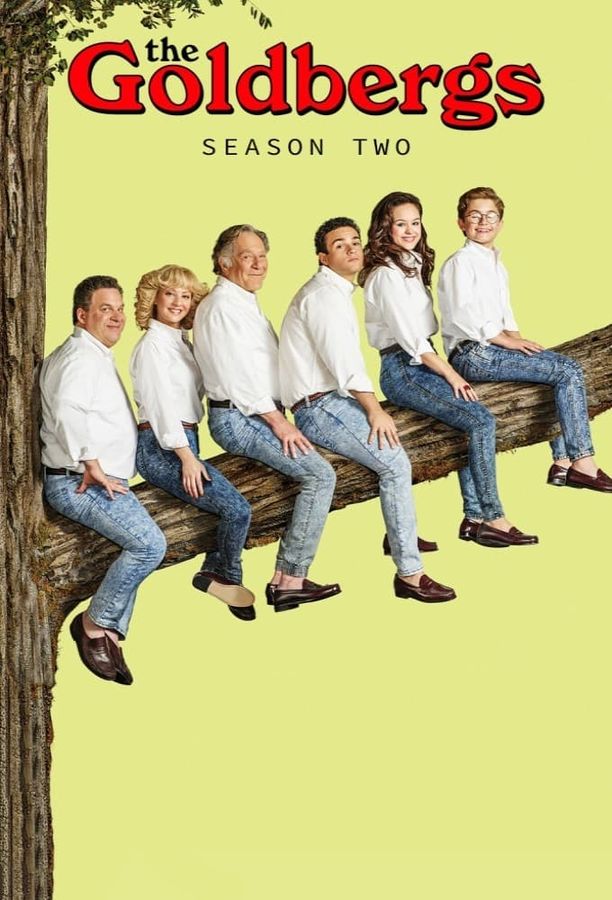 戈德堡一家    第⁨二⁩季
    The Goldbergs (2014)