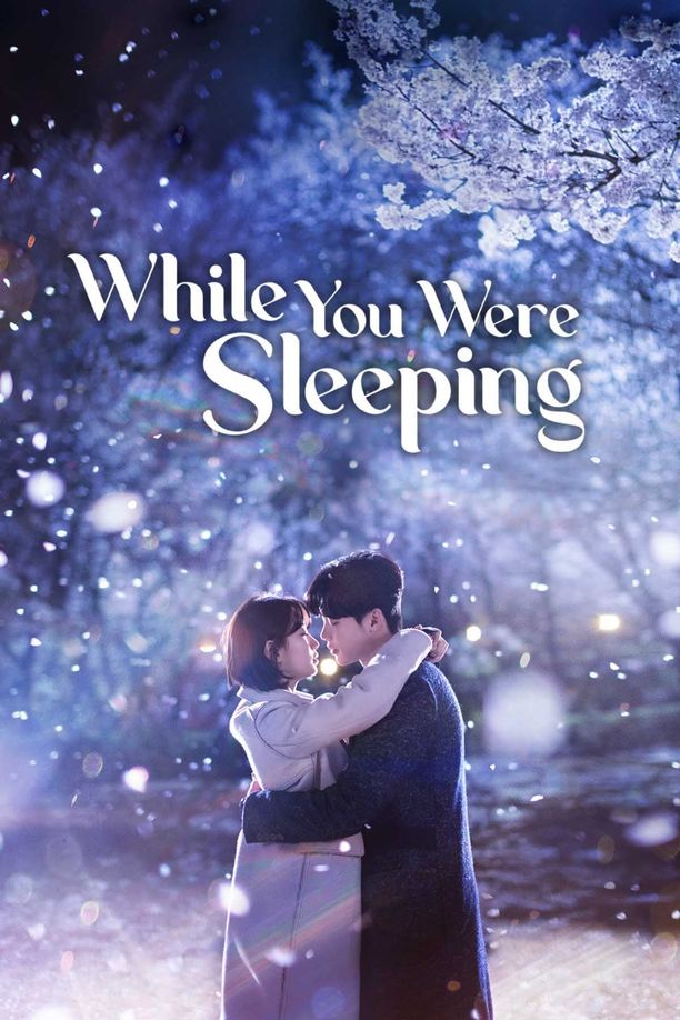当你沉睡时당신이 잠든 사이에 (2017)
