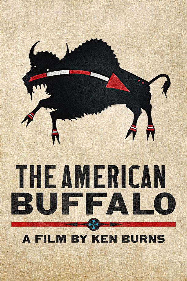 美国水牛The American Buffalo (2023)