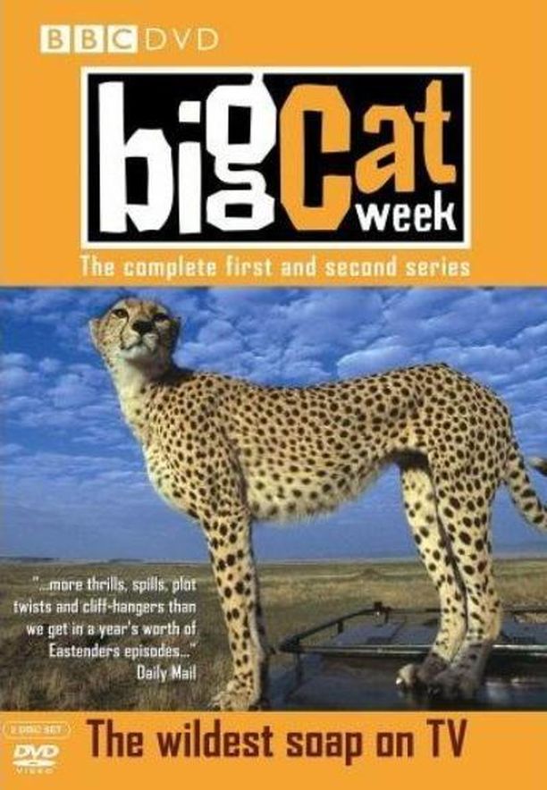 大猫日记    第⁨二千零五⁩季
    Big Cat Week (2005)