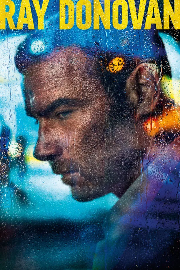 清道夫Ray Donovan (2013)