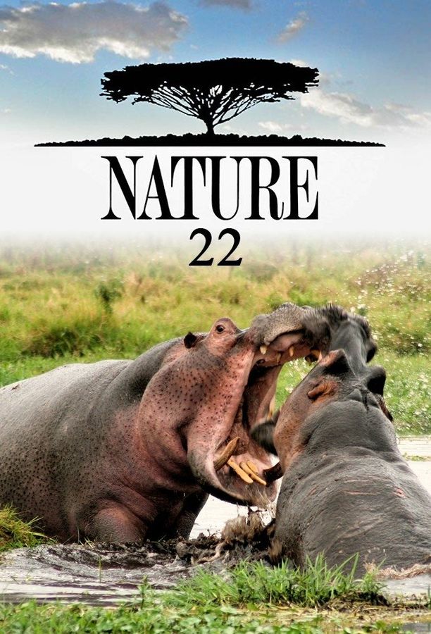 自然    第⁨二十二⁩季
    Nature (2003)