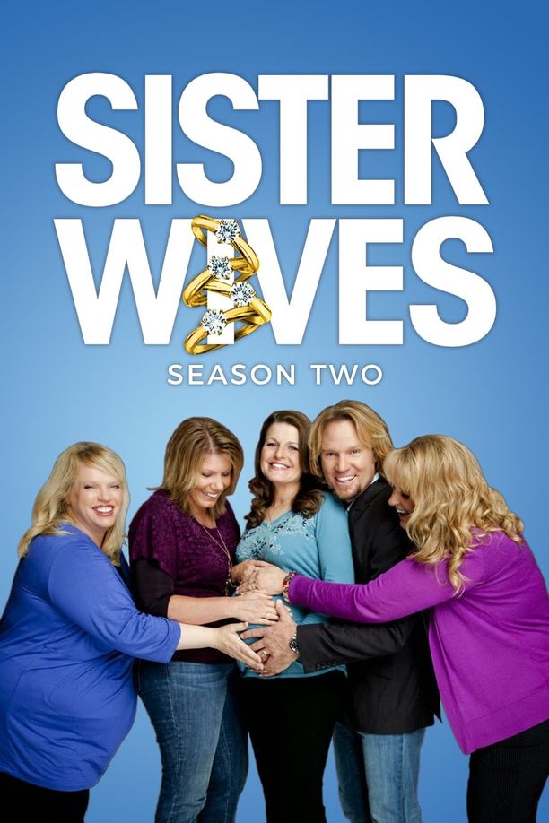 我的妻子们是好姐妹    第⁨二⁩季
    Sister Wives (2011)