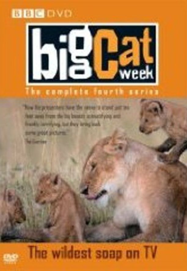 大猫日记    第⁨二千零八⁩季
    Big Cat Week (2007)