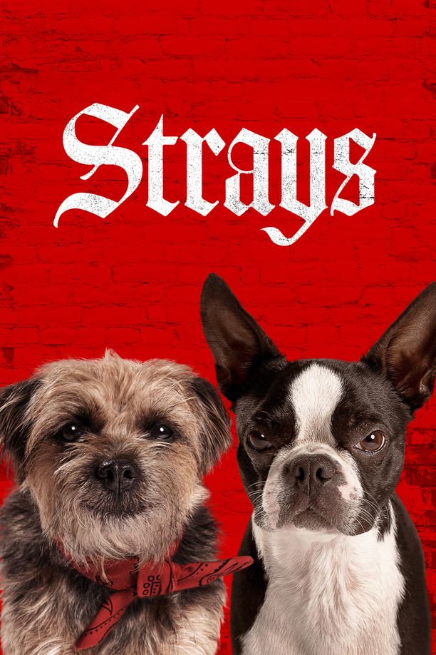 复仇狗联盟Strays (2023)