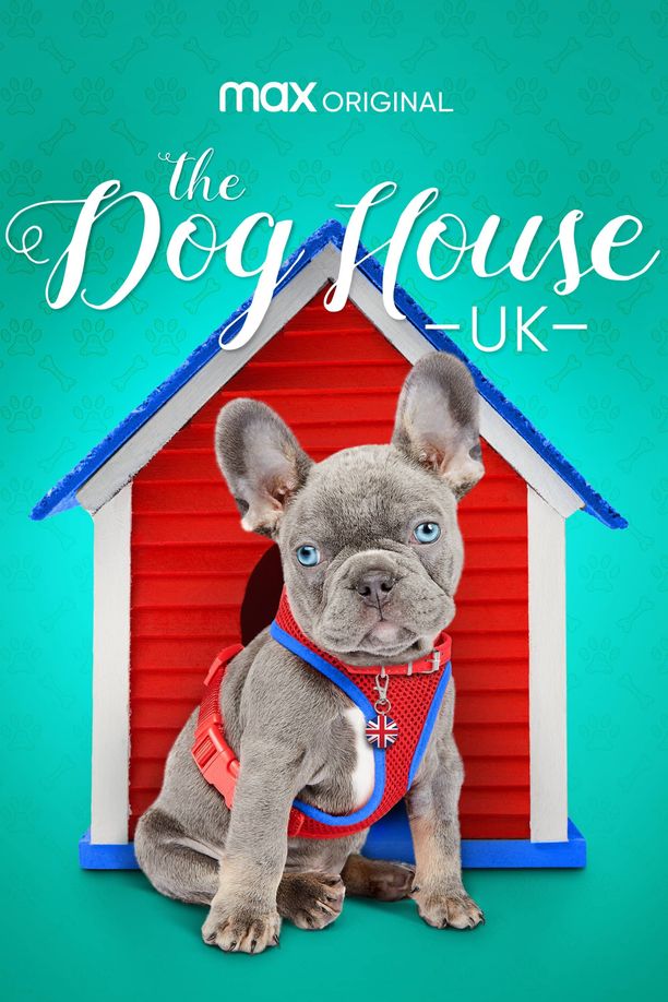 The Dog House    第⁨二⁩季
     (2021)