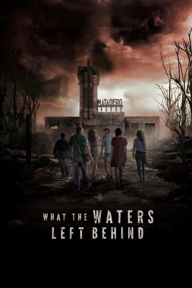 退水之后Los olvidados (2017)