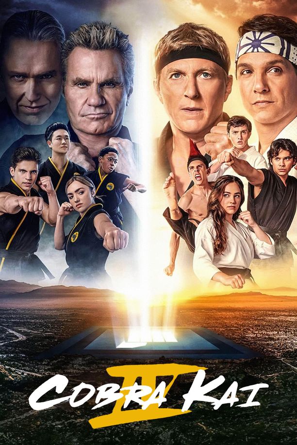 Cobra Kai    第⁨四⁩季
     (2021)