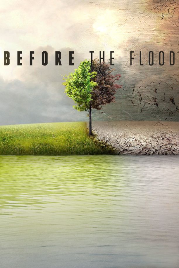 洪水来临前Before the Flood (2016)