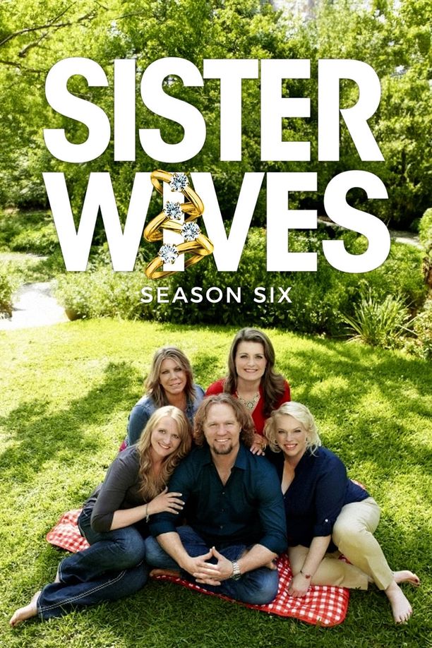 我的妻子们是好姐妹    第⁨六⁩季
    Sister Wives (2015)