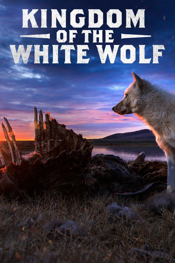 雪狼王国    第⁨一⁩季
    Kingdom of the White Wolf (2019)