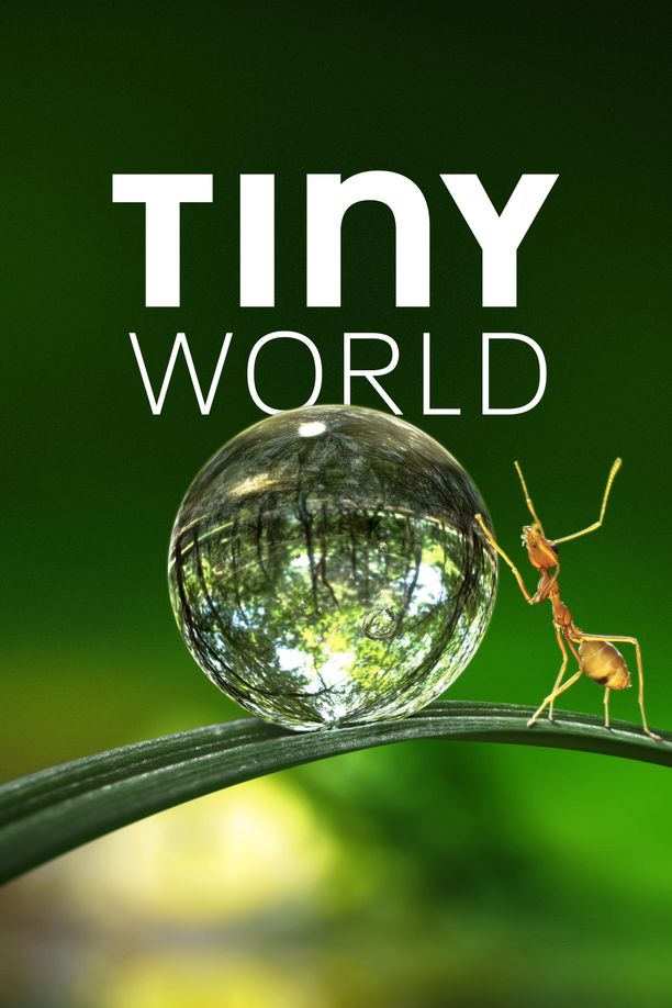 小小世界    第⁨一⁩季
    Tiny World (2020)