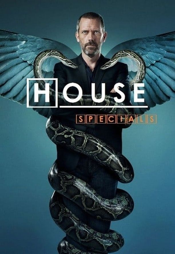 豪斯医生    特别篇
    House (2011)