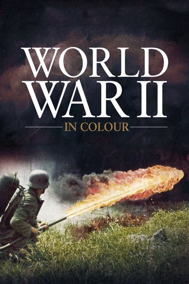二次大战全彩实录World War II in Colour (2009)