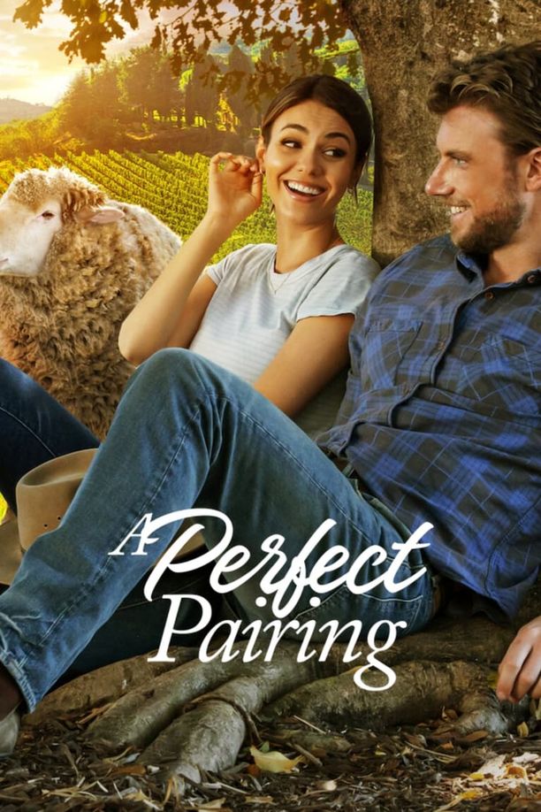 完美绝配A Perfect Pairing (2022)