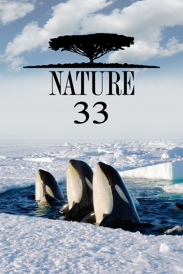 自然    第⁨三十三⁩季
    Nature (2014)