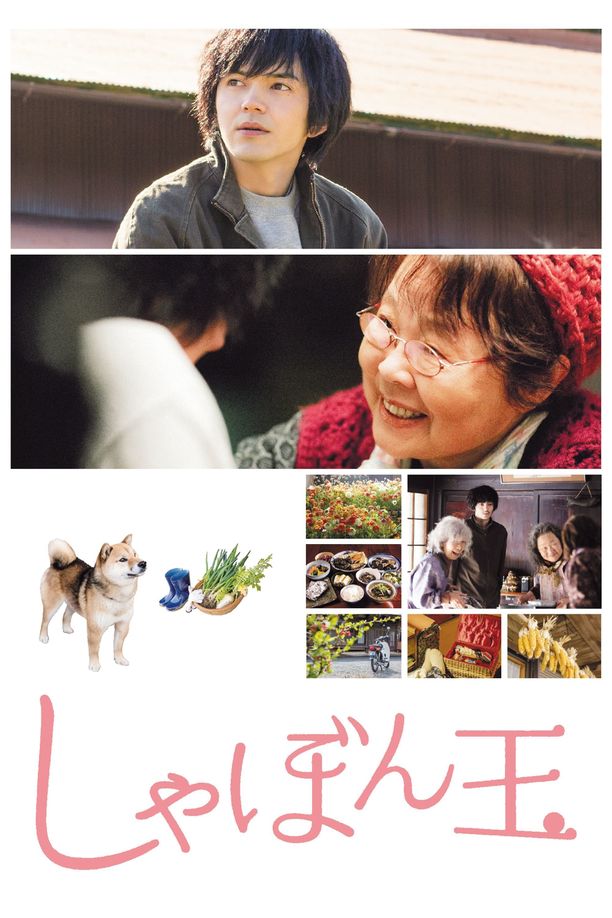 肥皂泡しゃぼん玉 (2017)