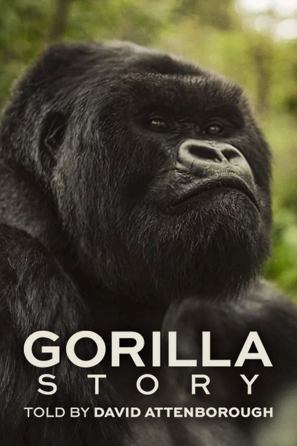 大卫·艾登堡：大猩猩的故事A Gorilla Story: Told by David Attenborough (2026)