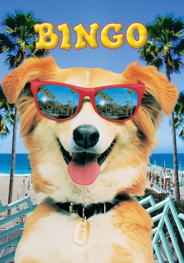 灵犬宾果Bingo (1991)