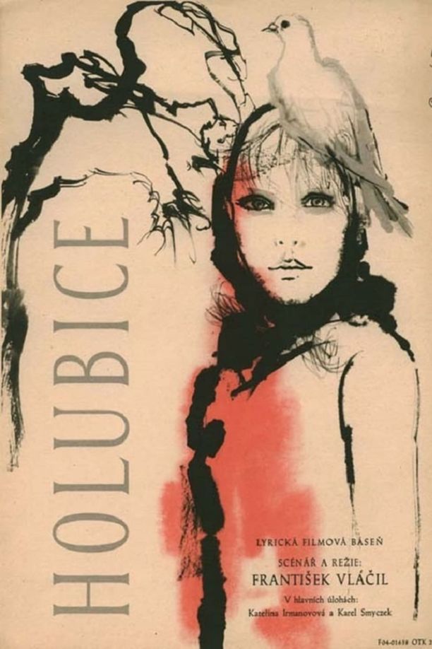 小白鸽Holubice (1960)