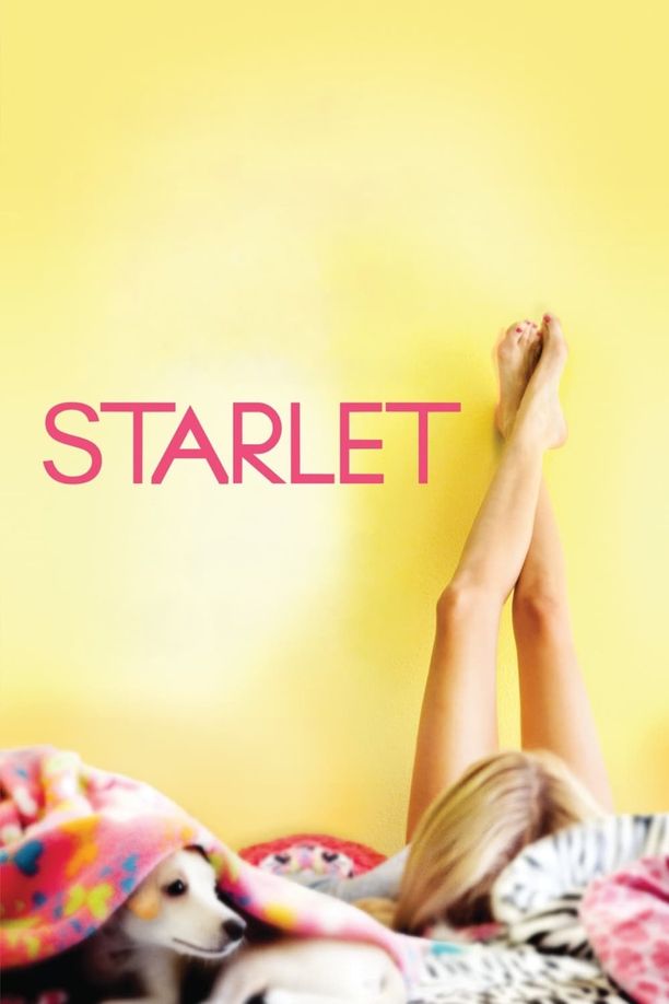 待绽蔷薇Starlet (2012)