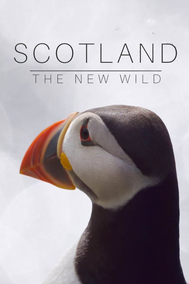 Scotland The New Wild (2023)