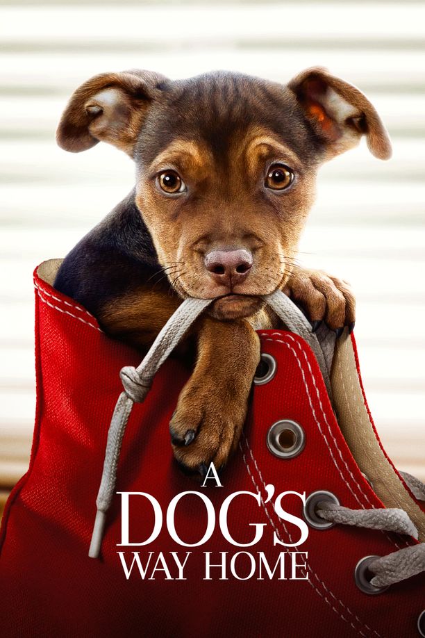 一条狗的回家路A Dog's Way Home (2019)