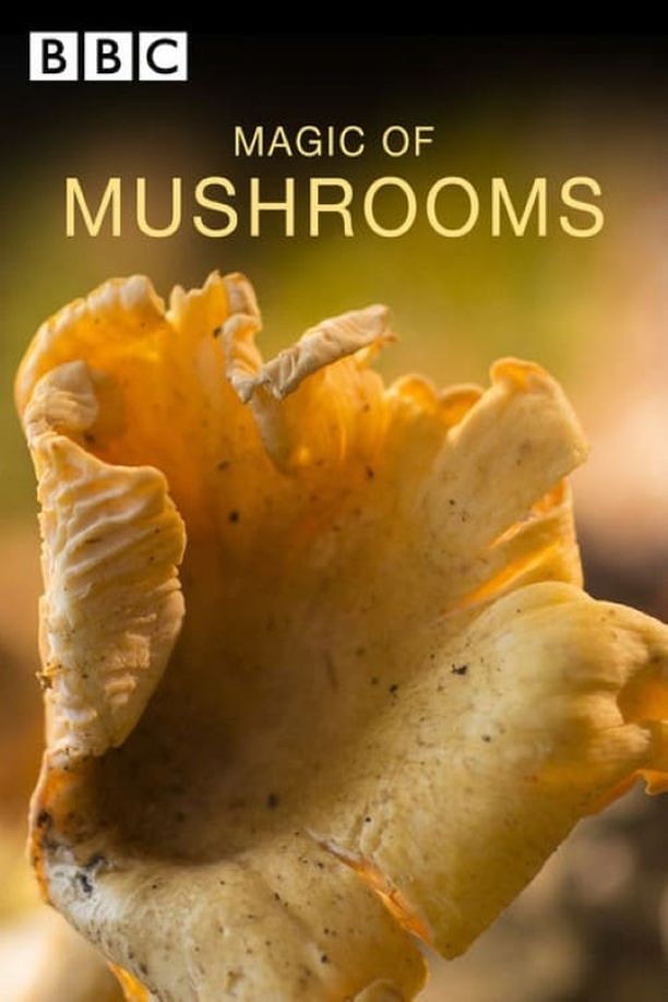 魔力蘑菇The Magic Of Mushrooms (2014)