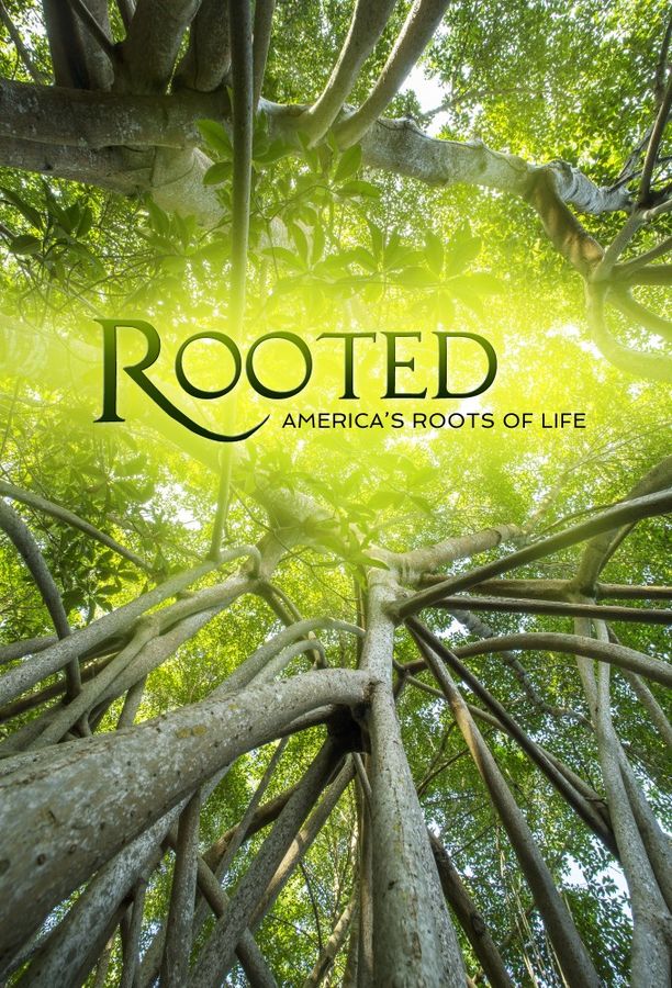 生命之树    第⁨二⁩季
    Rooted (2022)