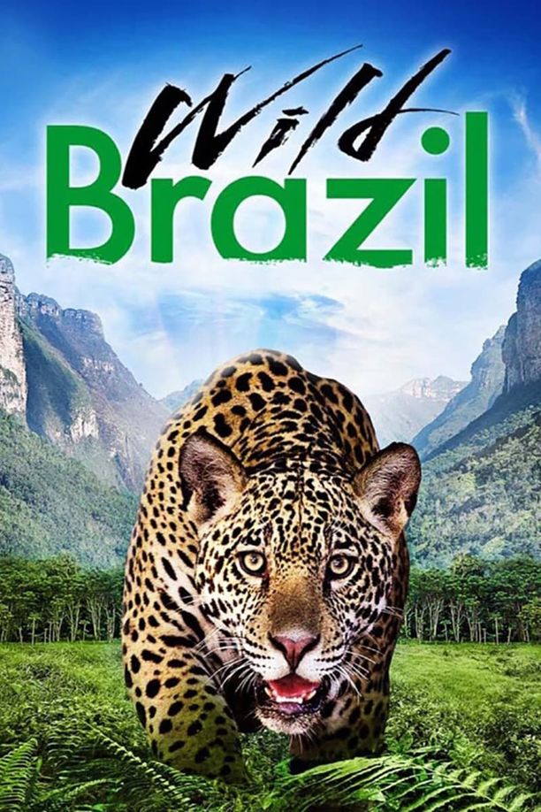 狂野巴西Wild Brazil (2014)